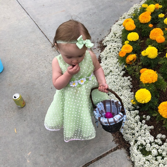 Meet your Posher, Dylan - Picture 4 of 8